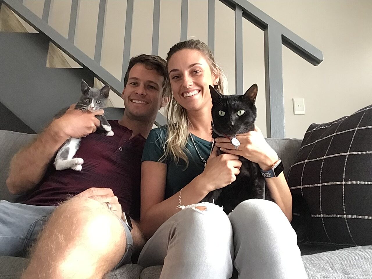 A man and woman sitting on a couch with their cats