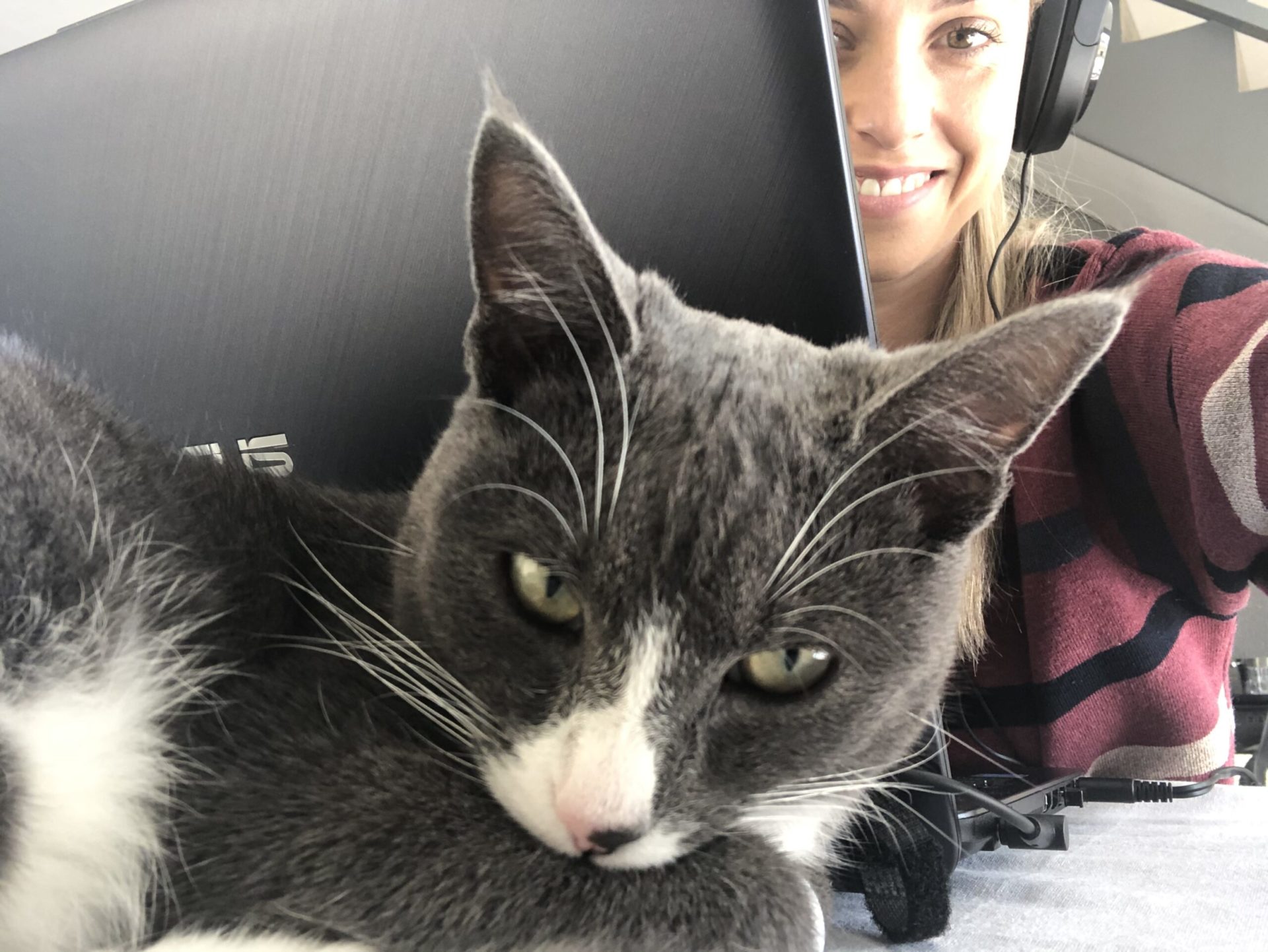 Virtual assistant spotlight of Kiara Weston with her grey and white cat