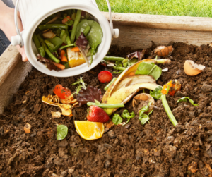 Compost as a sustainable business idea