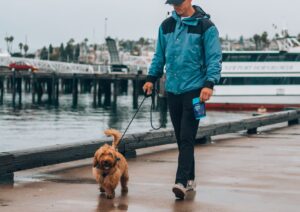 A man in a blue jacket walking his brown dog on a pier