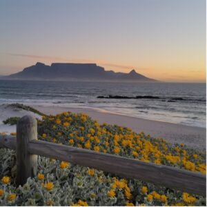 Table mountain and the beach